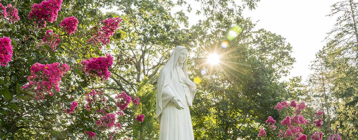 Colorado Saint Frances Xavier Cabrini Day
