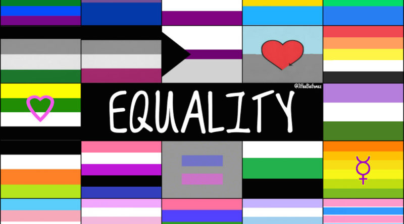 Equality flag