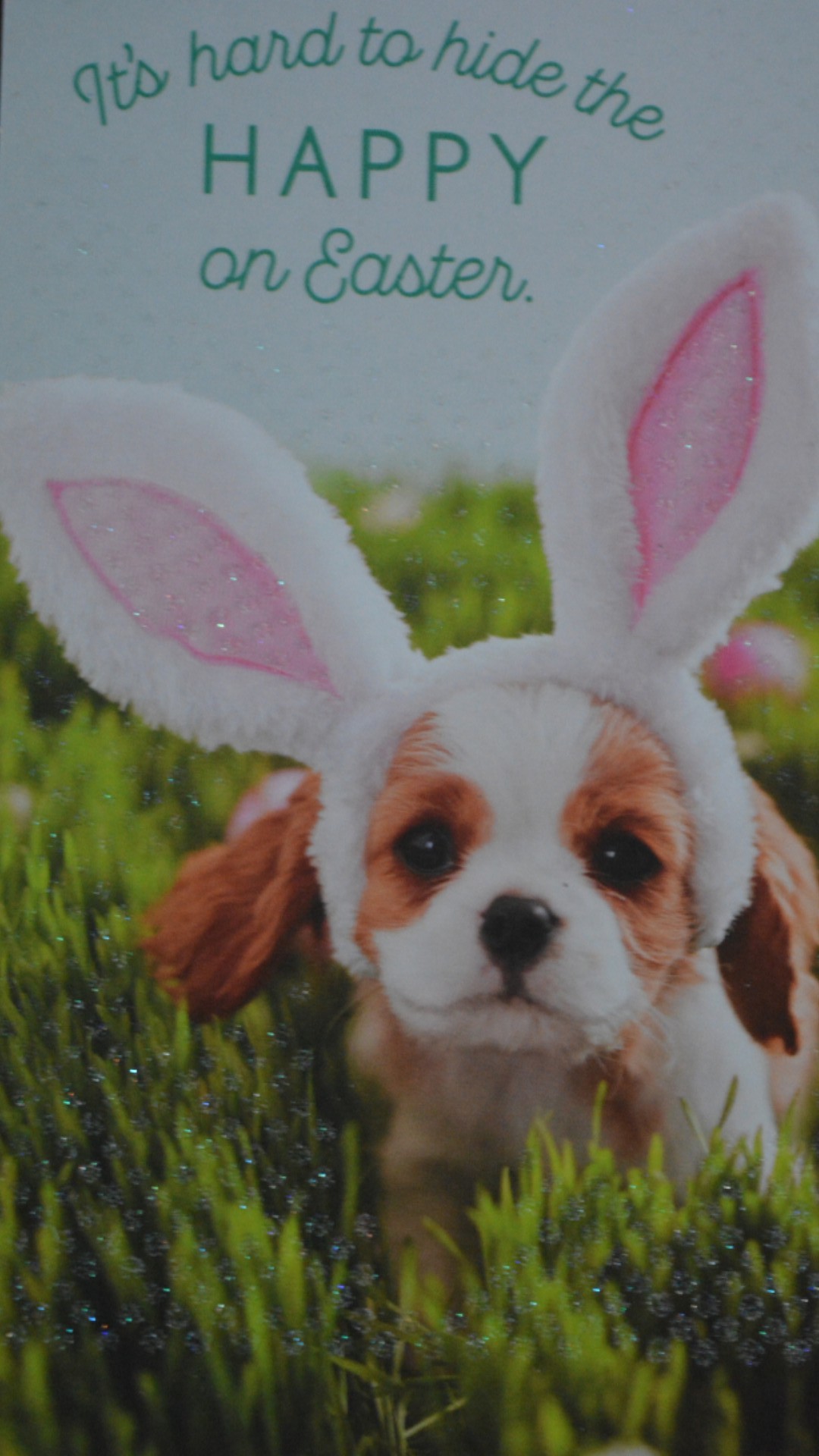 Send Easter cards to family members