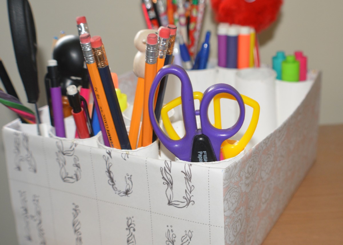 I used a Shoebox & toilet paper rolls to create my own desk organizer