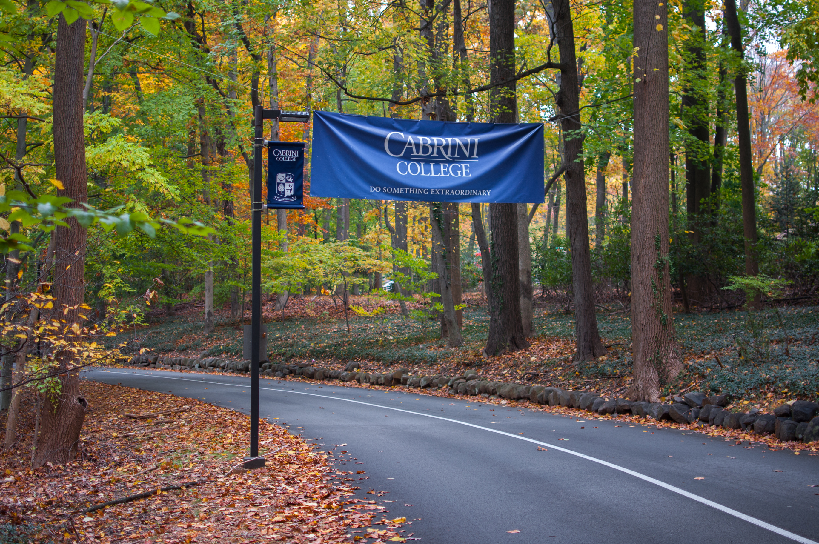 Main campus drive with fall foliage