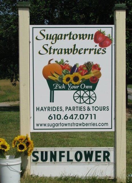 Sugartown Strawberries sign