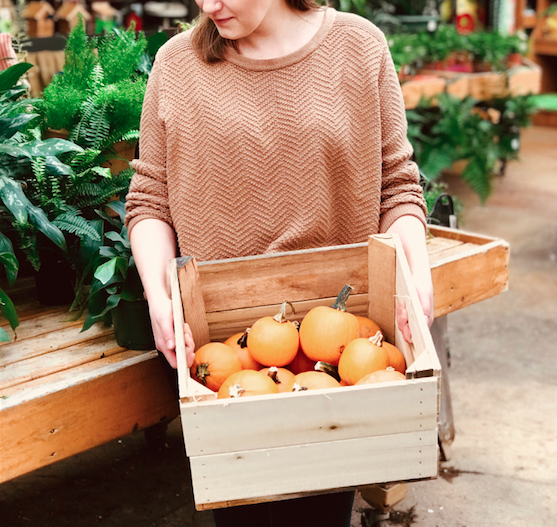 Woman holding crate of pumpkins