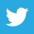 twitter logo (white bird on blue background)