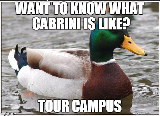 Want to know what Cabrini is like? Tour campus. (Actual Advice Mallard meme)