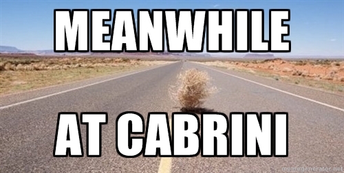 Meanwhile, at Cabrini (tumbleweed in desert)