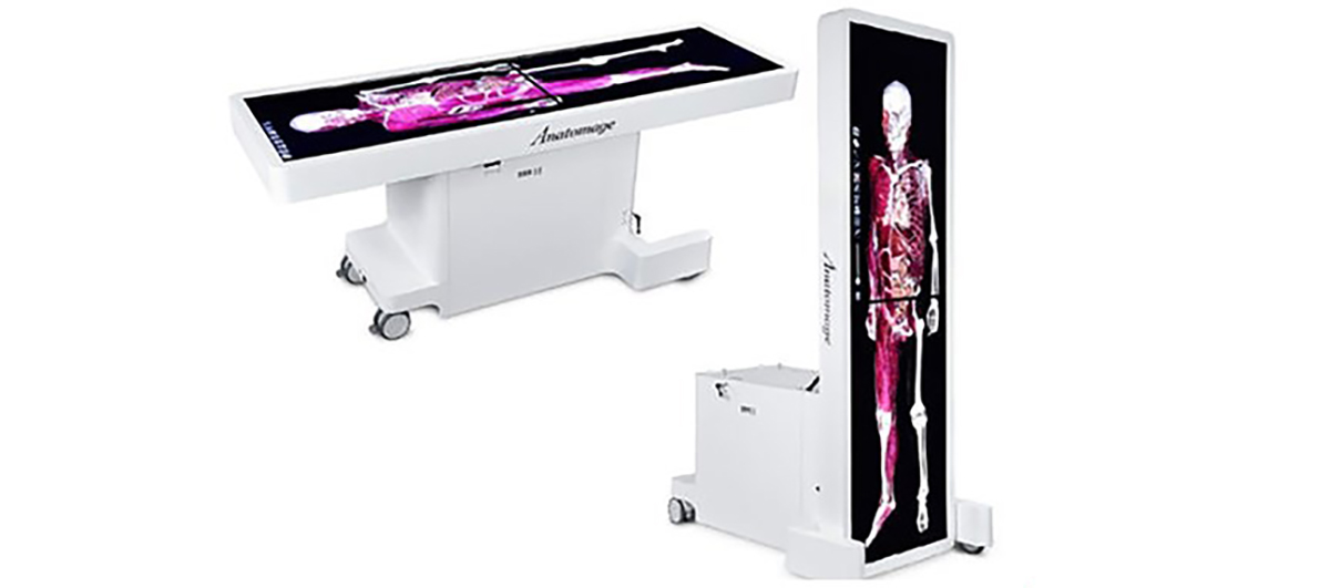 Anatomage table graphic